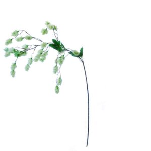 Hop | 96 cm | creme groen