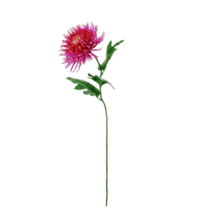 Chrysant  |  65 cm | fuchsia