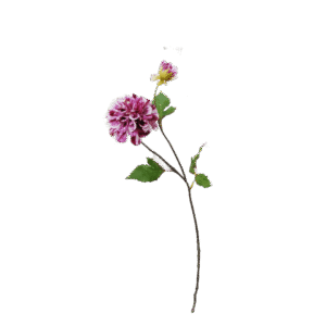 Dahlia | 50 cm | paars wit