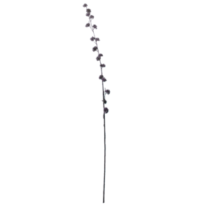 Callicarpa | 102 cm | paars