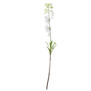 Fritillaria | 90 cm | wit