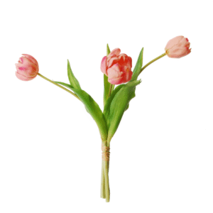 Pioentulpen | 39 cm | roze | bosje van 3