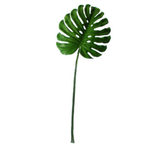 Monstera blad (gatenplant) | 112 cm | groen