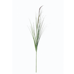 Riet | 130 cm | groen bruin