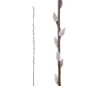 Lange wilgentak met katjes | 140 cm | grijs