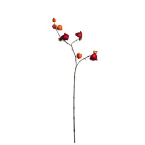 Physalis | 87 cm | oranje