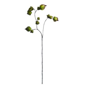 Physalis | 95 cm | groen