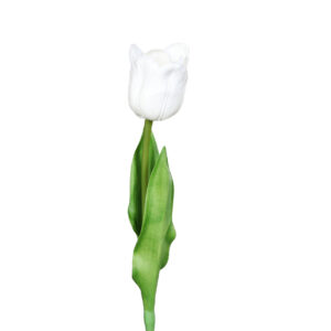 Tulp van foam op een lange steel | wit | 60 cm