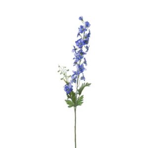 Delphinium | Ridderspoor | 80 cm | blauw