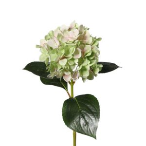 Hortensia | 67 cm | groen
