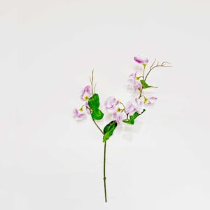 Zijden Lathyrus | 63 cm | Lila