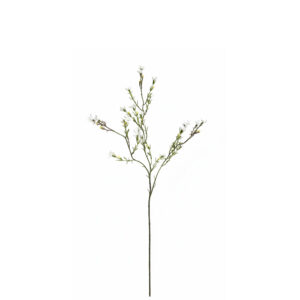 Was kruid | 78 cm | wit