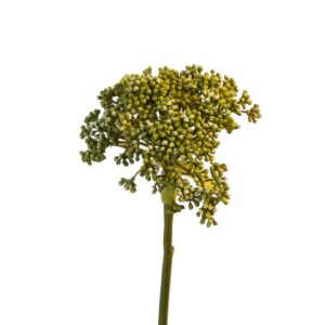 Hortensia in de knop | 56 cm | groen