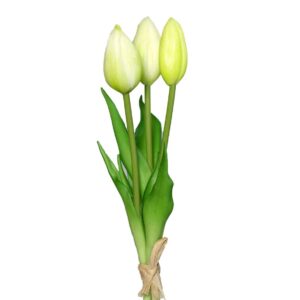 Tulpjes in een bosje van 3 | 24 cm | wit groen