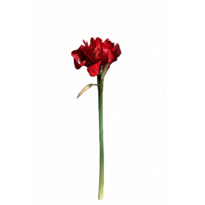 Amaryllis  | 62 cm | rood | real touch | met 3 bloemen