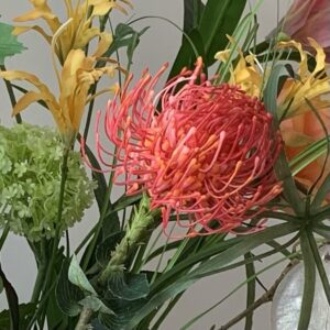 Protea | 68 cm | rood oranje